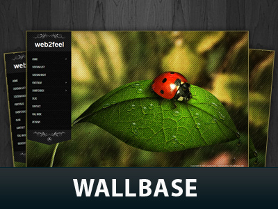 support:blogs:theme_wallbase.jpg